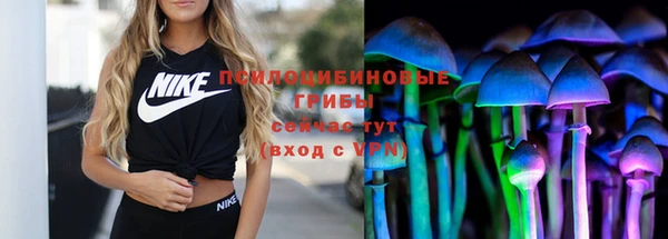 экстази Богородск