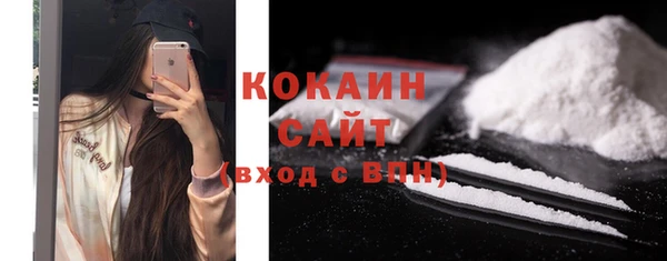 шишки Богородицк