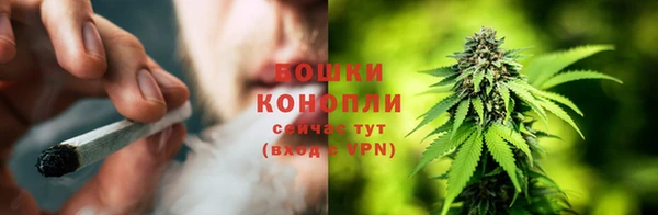 шишки Богородицк