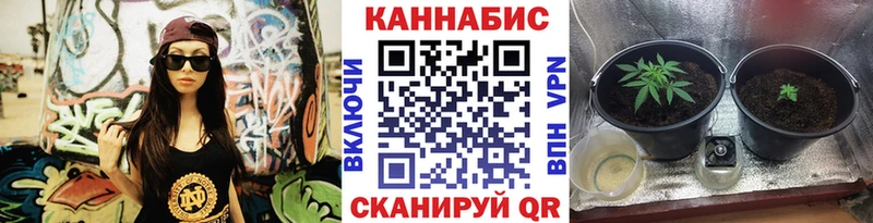 Канабис SATIVA & INDICA  Крым 